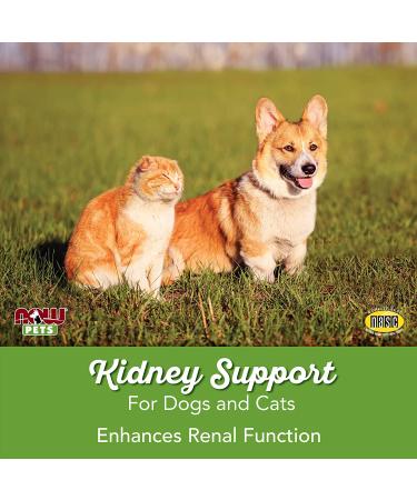 Now Foods Pets Kidney Support for Dogs & Cats 4.2 oz â€“ Natural Kidney Health Supplement - Buy Online on GoSupps.com
