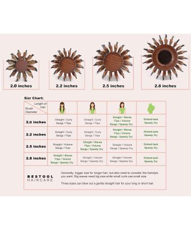 Bestool 2 inch Boar Bristle Round Hair Brush for Blow Drying - Large Wooden Barrel Styling Brush for Women & Men - Ideal for Straightening, Curling, Adding Shine and Volume - Buy Online on GoSupps.com