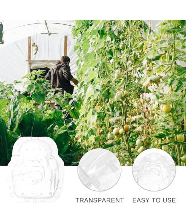 TOVINANNA 5pcs Fruit Shaping Ginseng Small Fruit Fruits Creative Melon Molds Stereotypes Watermelon As Shownx5pcs 11x10cmx5pcs - Buy Online on GoSupps.com