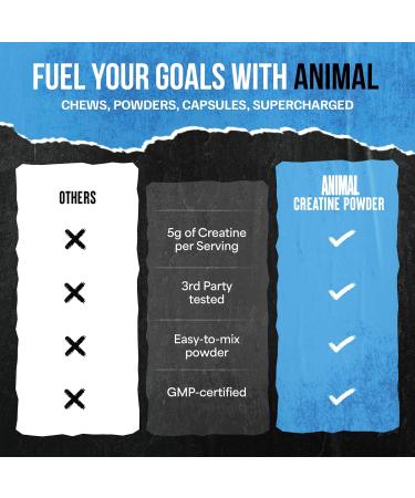 Animal Creatine Monohydrate Powder Micronized Creatine for Women and Men Supports Muscle Growth Strength Endurance Recovery and ATP Production Gym & Workout Supplements - Unflavored 300g Unflavored 300g (Pack of 1) - Buy Online on GoSupps.com