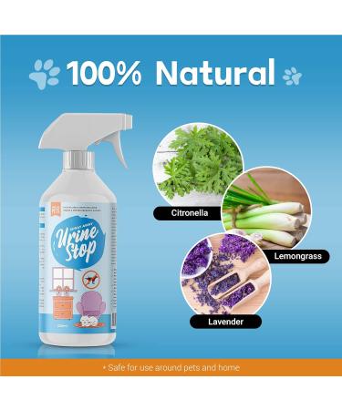 Buddy's Best Urine Stop Spray for Dogs & Cats | Prevents Urine Marking | Eliminates Odors | Safe for Indoor & Outdoor Use - Buy Online on GoSupps.com
