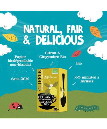 CLIPPER - Organic Infusion - Lemon & Ginger - 20 Organic Infusion Sachets - 1 pack - Buy Online on GoSupps.com