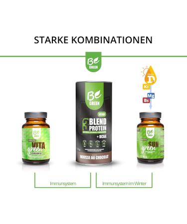 Buy Begreen 3Blend Vegan Protein with BCAA & B12 - Chocolate Mousse Flavor | Gluten-Free Lactose-Free No Added Sugar | 700g Powder - International Shipping Available - Buy Online on GoSupps.com