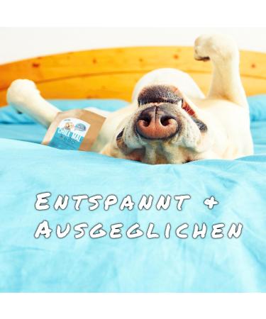 Sollis Sedative for Dogs | 100% Natural Herb Mixture | Relieves Stress Fear & Hyperactivity | 300g | Calm Your Dog Naturally - Buy Online on GoSupps.com