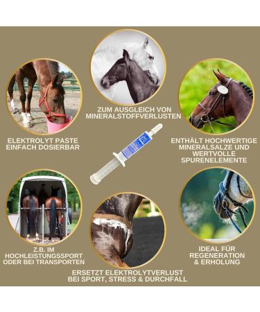 Electrolyte Horse Paste with Vitamins | B Complex Sodium Potassium & Magnesium - Essential After Diarrhea & for Hydration | International Shipping Available - Buy Online on GoSupps.com