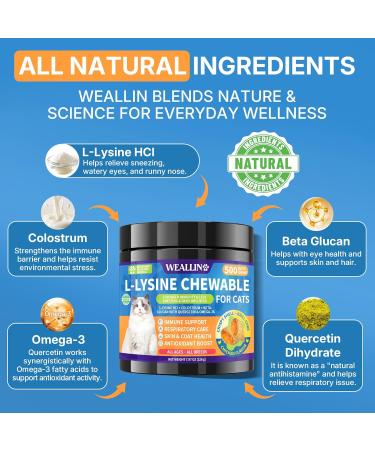 WEALLIN Cat & Dog Wellness Bundle L-Lysine Chews for Cats 500 Ct for Immune & Respiratory Support + 25-in-1 Dog Multivitamin Chews 200 Ct with Probiotics & Omega-3 Chicken Flavor - Buy Online on GoSupps.com