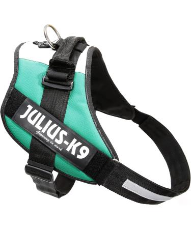 Shop IDC Powerharness 3XL/4 - Hungarian Colors | International Shipping Available - Buy Online on GoSupps.com