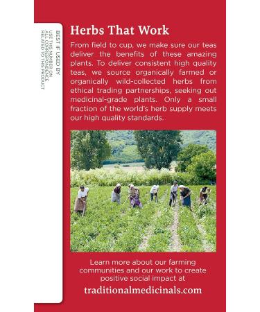 Traditional Medicinals Organic Echinacea Elderberry Herbal Tea - 32 Tea Bags Total, Immune Function Support, Pack of 2 - Buy Online on GoSupps.com