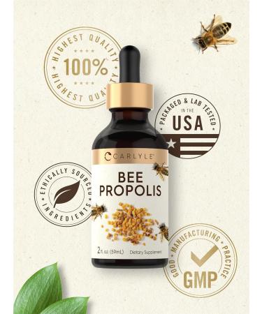 Carlyle Bee Propolis Tincture Drops | 2 Fl Oz | Liquid Extract | Non-GMO Gluten Free Supplement - Buy Online on GoSupps.com