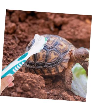 Ukcococo Turtle Cleaning Brush - Eco-Friendly Bristle Washer for Turtles | International Shipping Available - Buy Online on GoSupps.com
