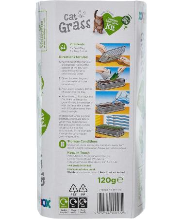 Webbox Cat Grass Kit 120g - Buy Online on GoSupps.com