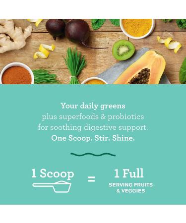 Amazing Grass Greens Blend Superfood Powder with Spirulina, Chlorella, Beet Root, Digestive Enzymes & Probiotics - Detox & Digest - 15 Servings - Buy Online on GoSupps.com