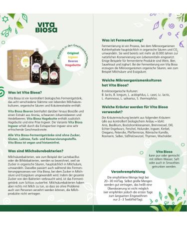 Buy NEW! VITA BIOSA Ginger 500ml | Probiotic Fermented Drink | International Shipping Available | 0.25 Deposit Included - Buy Online on GoSupps.com