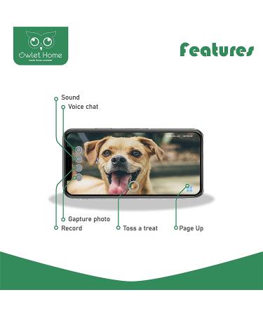 Owlet Home Pet Camera with Treat Dispenser Tossing | 1080P Camera, WiFi, Night Vision | Alexa Compatible for Dogs/Cats - Buy Online on GoSupps.com