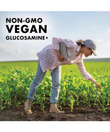 BlueBonnet Vegetarian Glucosamine Plus MSM Supplement - 60 Count (743715011137) - Buy Online on GoSupps.com