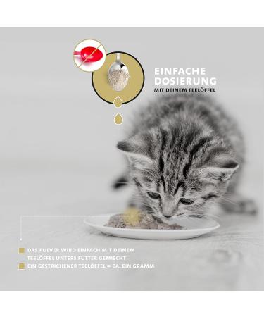 Peticare Muscle Building Powder for Cats | Essential Amino Acids & Collagen | Strengthens Muscles & Joints | Natural Supplement 125g - PETCAT Health - Buy Online on GoSupps.com