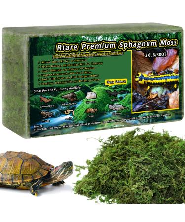Riare Premium Natural Sphagnum Moss for Reptile Hatching Forest Sphagnum Moss Reptile Substrate for Snakes Gecko Turtles Frogs Leopard (1200g) 2.6 LB - Buy Online on GoSupps.com