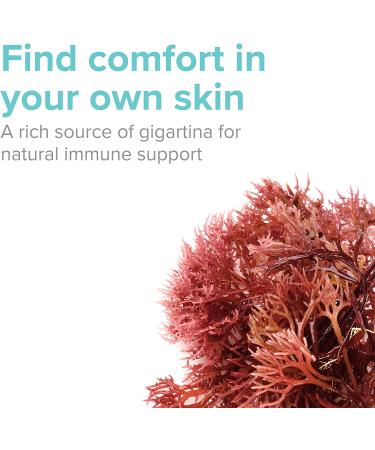 Vibrant Health Gigartina Red Marine Algae 120 Veg Capsules - Enhanced Formula - Buy Online on GoSupps.com