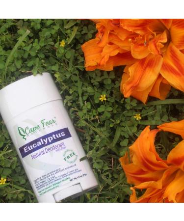 Eucalyptus Natural Deodorant Stick | Aluminum & Preservative Free | 2.5oz | Best International Shipping - Buy Online on GoSupps.com