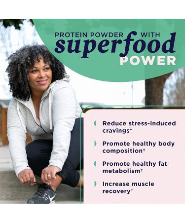 Organic Plant Protein + Vegan Vanilla Protein Powder by Dr. Josh Axe - 11.5 oz (12 servings) | Dairy-Free, Gluten-Free, Non-GMO, Paleo Friendly, No Sugar Added - Buy Online on GoSupps.com