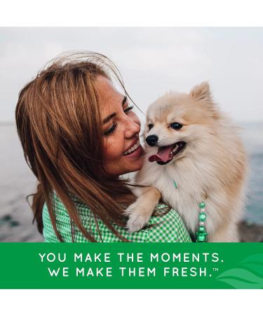 Fresh Breath Vanilla Mint Oral Care Spray for Dogs 4oz - Made in USA | TropiClean - Buy Online on GoSupps.com