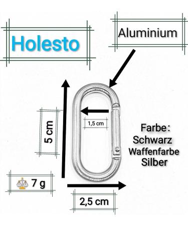 Holesto 3 Set Mini Oval Karabiner - Black Key Organizer & Karabiner Haken - Compact 50x25 mm Carabiner Set for Keyrings - Buy Online on GoSupps.com