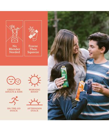 Re-Harvest Provisions Smoothie Pops 5 Pack - Frozen Fruit + Vegetables + Superfoods | Dairy-Free, Vegan, Gluten-Free | Anti-Inflammatory | Eco-Friendly | 1.6oz ea - Buy Online on GoSupps.com