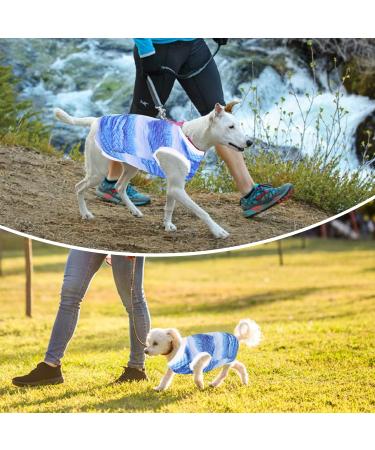 Cool Summer Dog Shirt & Vest for Small Dogs - Breathable Fashionable Pet Clothing | Blue Puppy Sweatshirt for Beach - Buy Online on GoSupps.com