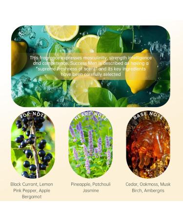 No.024 - Chypre Fruity Eau de Parfum - Inspired by Aventu s Luxury Fragrance for Men Long Lasting Perfume Spray - 1.7 Fl Oz/50 ml No.024 - Inspired by Aventu s - Buy Online on GoSupps.com