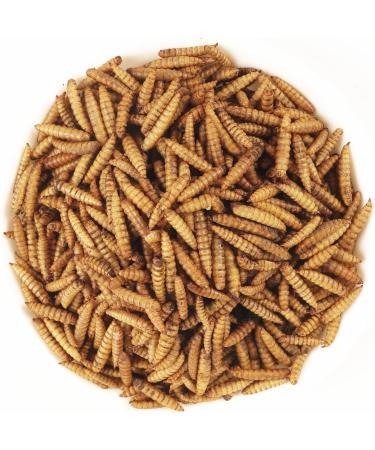 Buy EWL Natural Products Soldier Fly Larvae - 1kg Dried Insect Feed for Birds Fish Turtles & Hedgehogs - Premium Quality Animal Nutrition - Buy Online on GoSupps.com