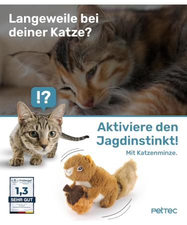 Buy Pettec Interactive Cat Toys - Electric Movable Squirrel with Catnip | Automatic Self-Employment Toy for Cats - Buy Online on GoSupps.com