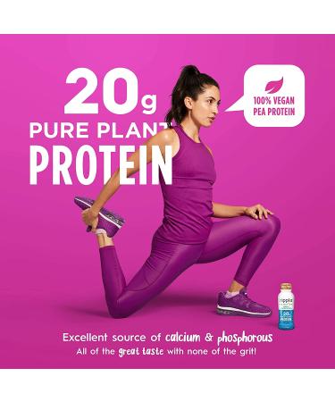Ripple Vegan Protein Shake - Vanilla | 20g Plant-Based Pea Protein | Gluten, Soy, Nut & Lactose Free | 12 Oz (Pack of 12) - Buy Online on GoSupps.com