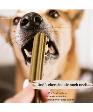 Hundreds Dental Sticks for Dogs - 100% Natural Vegan Hypoallergenic Chew Sticks - 3 Pack for Tartar & Dental Care - Trial Package - Buy Online on GoSupps.com