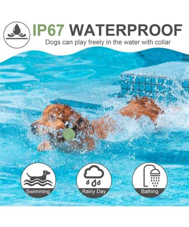 New Classic Dog Collars - Nylon Waterproof & Breathable | Easy to Handle for All Dog Sizes - Buy Online on GoSupps.com