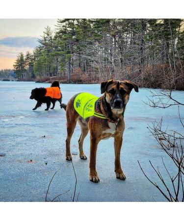 Orange Safety Reflective Dog Vest | 5 Sizes | Leash Hole | Snap Lock Buckle | High Visibility for Outdoor Activities | Medium - Keep Your Dog Safe - Buy Online on GoSupps.com