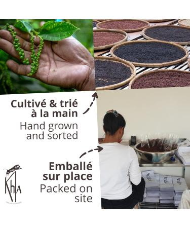 Khla - Organic Kampot Black Pepper - Peppercorns 100g - Traditional Palm Leaf Gift Box - Grand Cru Rare - Ingr - Buy Online on GoSupps.com
