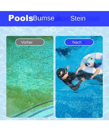 Pool Pumice Stone Pool Pumice Stone for Cleaning Tiles Pool Tiles Pumice Stone Pool Pumice Stone for Toilet Bowl Bathroom Household Kitchen Pool - Buy Online on GoSupps.com