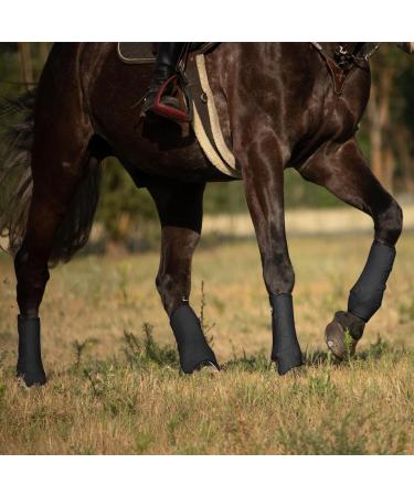 Harrison Howard Horse Sport Medicine Front Shock-Absorbing Boots All-Round Lower Limb Protection & Support Sport Boots Perfect for Endurance Training and Performance Pack of 4 Piano Black L - Buy Online on GoSupps.com