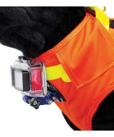 Canihunt Vest Flash V2 (S) - Premium Dog Training Gear | International Shipping Available - Buy Online on GoSupps.com