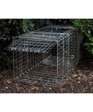 OxGord Live Animal Trap - Humane 2-Door 32 Cage for Raccoon, Opossum, Cat, Rabbit & Rodents - Buy Online on GoSupps.com
