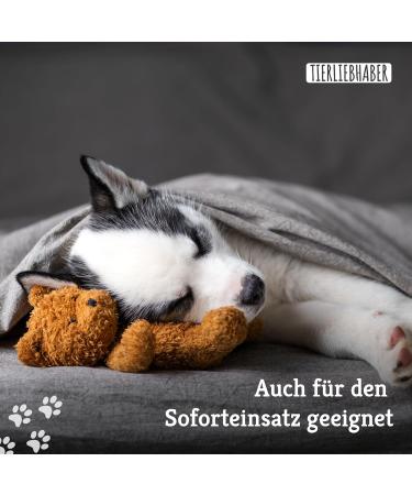 Natural Chillout Sticks for Dogs | 100% Natural Anti-Stress Treats with Valerian Root & Sleep Berry - Buy Online on GoSupps.com