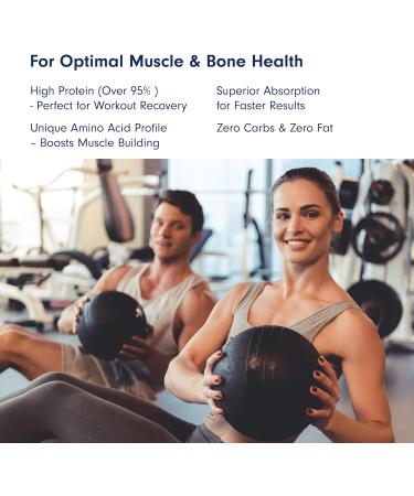 Seagarden Marine Collagen Powder - Wild-Caught Arctic Cod Peptides for Skin, Hair & Health - 300g Lemon Protein Supplement - Buy Online on GoSupps.com