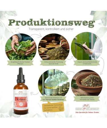 Premium Stone Crusher Tincture 50ml - Phyllanthus Niruri Extract Vegan Made in Austria - 1:4 Concentration - Buy Online on GoSupps.com