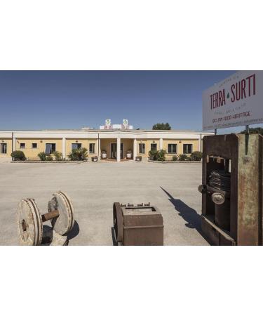 EARTH SURTI TERRA SURTI Extra Virgin Olive Oil 100 Italian 3 Liter Can Harvest 20242025 - Buy Online on GoSupps.com