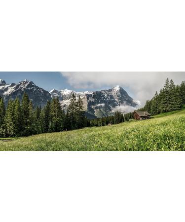 Ricola - Bonbons aux Plantes Suisses - Parfum Citron M lisse - Gourmand et Rafra chissant - Sans Sucres - Lot de 24 sachets de 70 gr - Buy Online on GoSupps.com