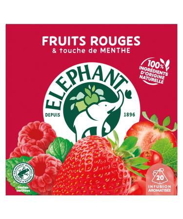 Elephant Flavored Infusion Red Fruit & Mint Flavor Rainforest Alliance Certified 100% Natural Origin Ingredients 20 Pyr