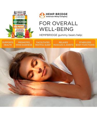 Hempbridge Hemp Gummies - 2 Pack - USA Made Omega 3 Supplement for Pain Relief - 60 Count Gummies with Vitamins B & E - Max Value Formula - Buy Online on GoSupps.com