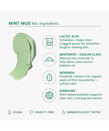 Kinship Mint Mud Deep Pore Detox Mask - 2 oz - Bentonite & Kaolin Clay with Lactic Acid - Balances Oil, Unclogs Pores, Improves Blemishes - Buy Online on GoSupps.com
