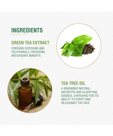 O.trix Green Tea Conditioner | Revitalize & Nourish for All Hair Types | Paraben-Free | Enhanced Shine & Strength | 300ml - Buy Online on GoSupps.com