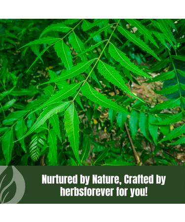 Herbsforever Neem Powder Azadirachta Indica Promotes Healthy Skin 230 GMS - Buy Online on GoSupps.com